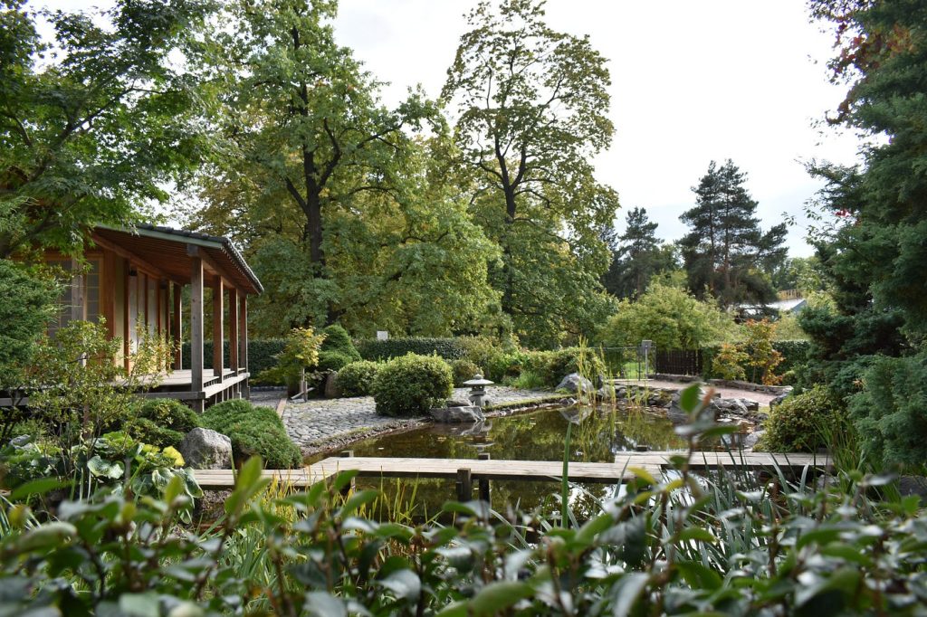 Exploring the Green Revolution: Green Soul Organics and Sustainable Living