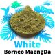 White Maeng Da vs. White Borneo: Unveiling the Differences and Similarities