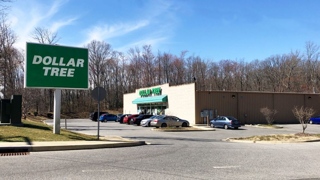 Dollar Tree Stores: A Shopping Extravaganza on a Budget