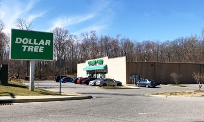 Dollar Tree Stores: A Shopping Extravaganza on a Budget