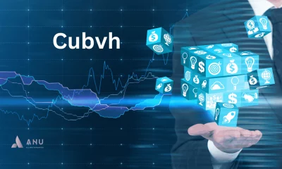 Unraveling the Mystery of Cubvh