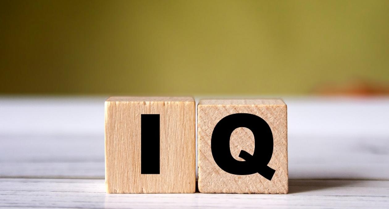 IQ Unveiled: Navigating the Maze of Intelligence