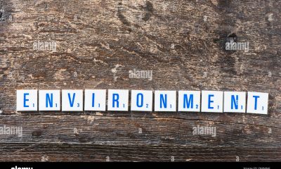 How to Spell Environment? Is it Enviroment or Enviorment?