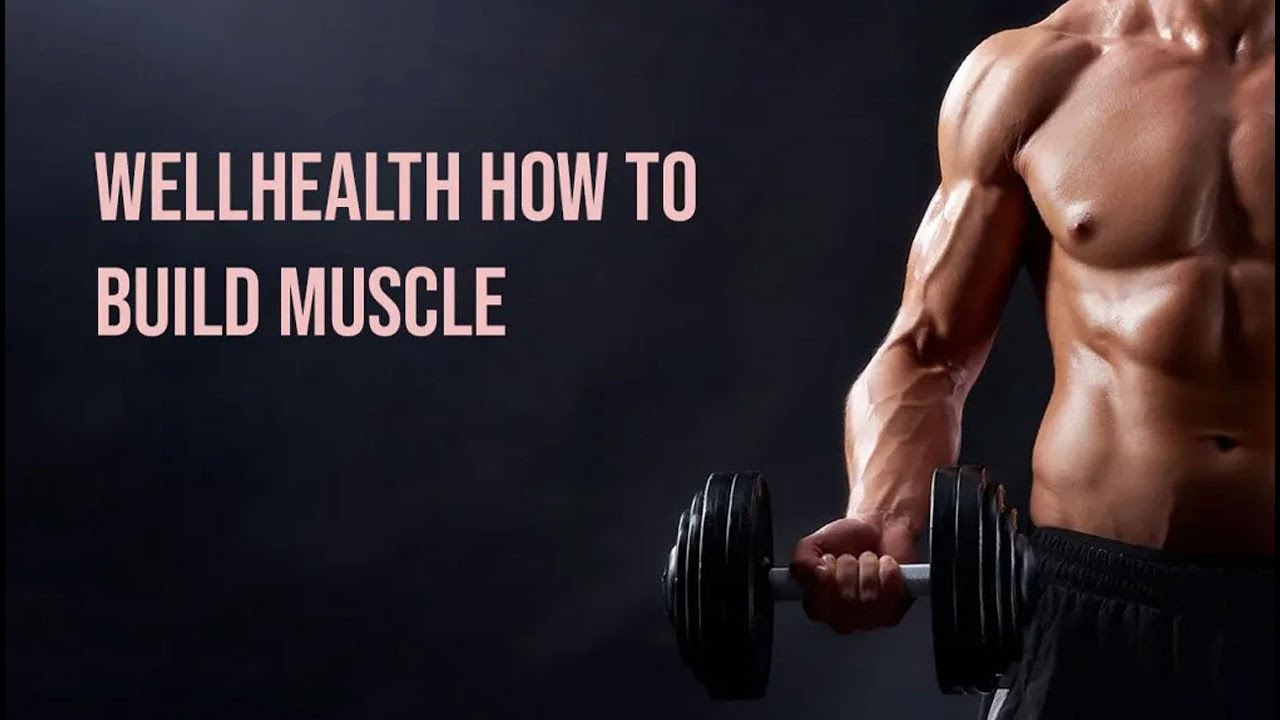 Wellhealth: How to Build Muscle - Complete Guide
