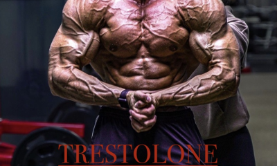 Exploring the World of Steroids: Buy Methyltrienolone, Ultima Pharma Accutane, and steroid for Sale