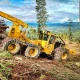 Navigating the Forest: Essential Logging Equipment Explained