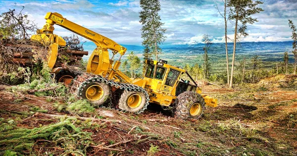 Navigating the Forest: Essential Logging Equipment Explained