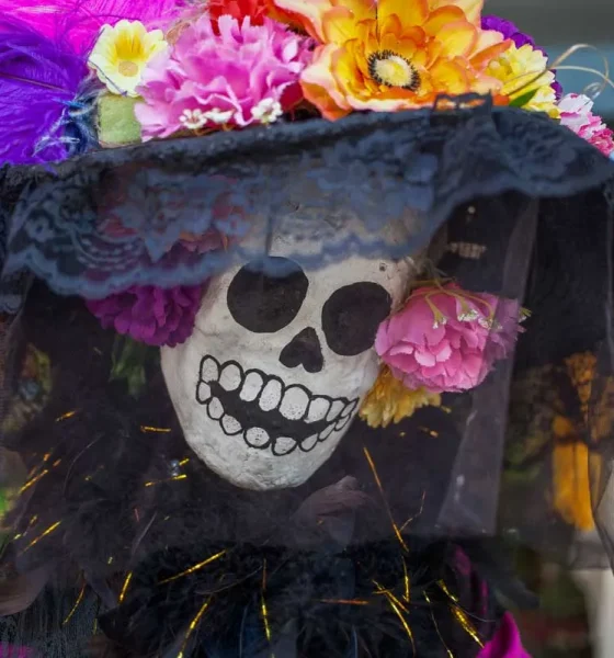Day of the Dead Tour: Exploring Mexico's Vibrant Tradition