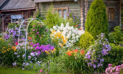 Preserving Your Garden: Tips and Techniques for Year-Round Beauty