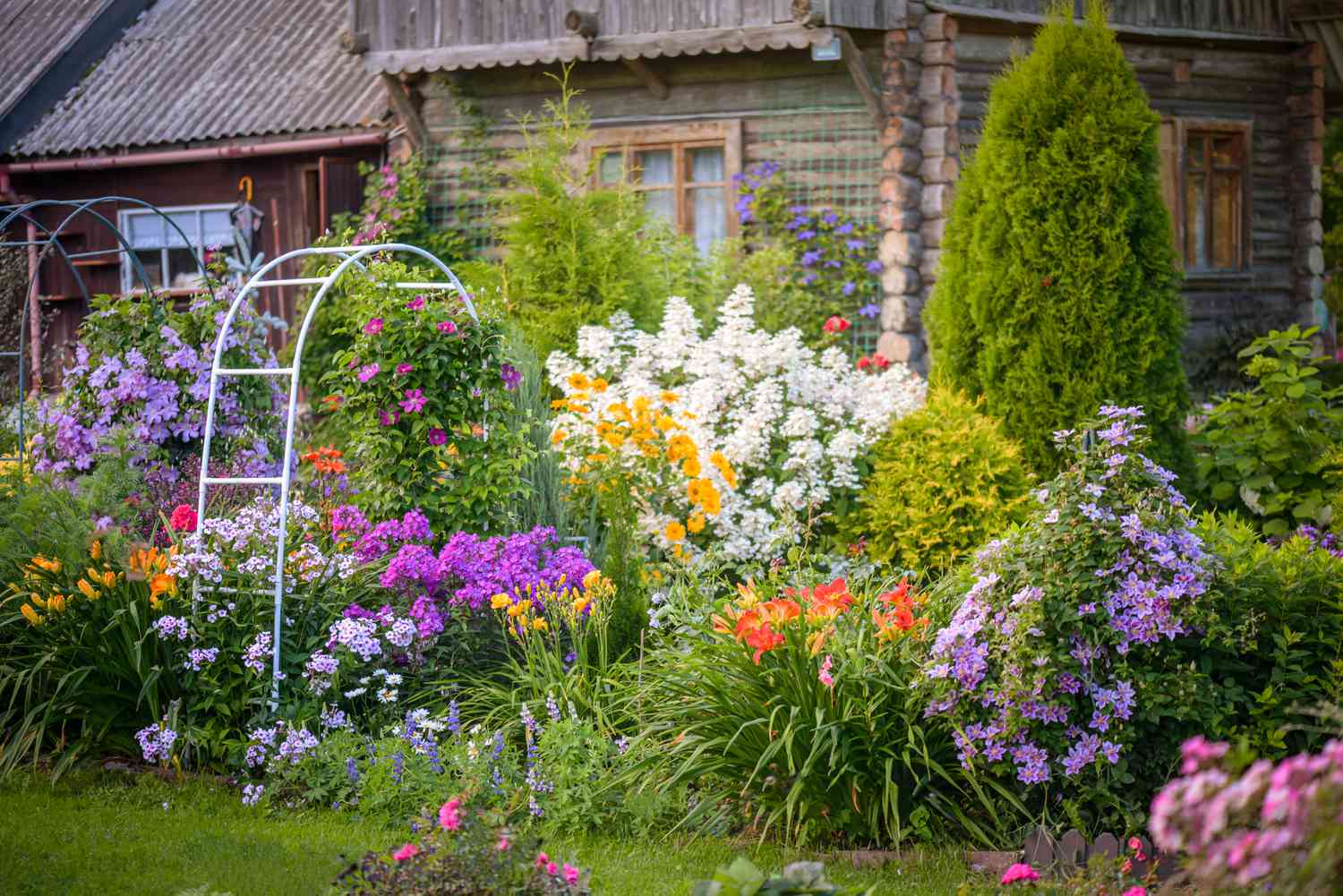 Preserving Your Garden: Tips and Techniques for Year-Round Beauty
