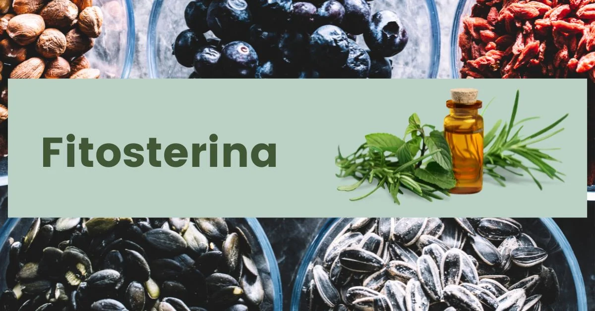 Exploring the Potential Health Benefits of Fitosterina