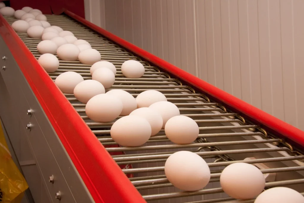 EGGene: Revolutionizing Agriculture with Genetic Engineering