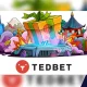 Tedbet: A New Reliable Name In The Online Casino