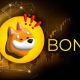 The Ultimate Guide to Claiming Your Bonk $BONK Airdrop