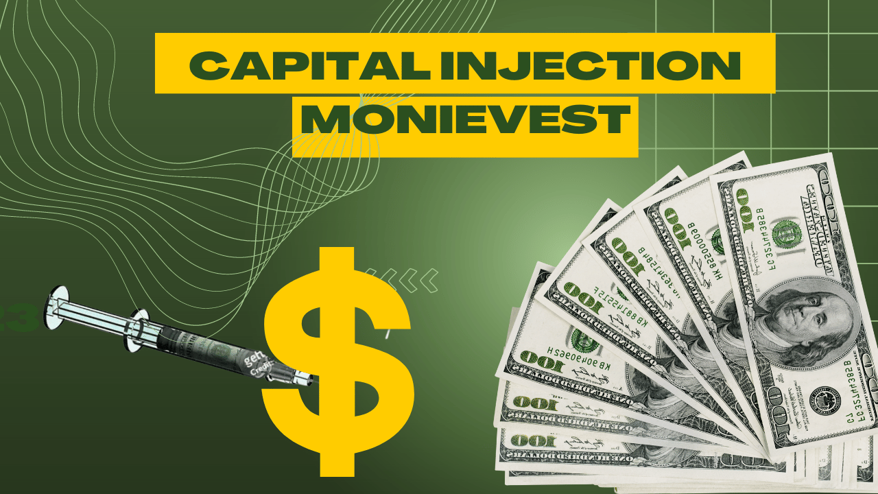 Capital Injection with Monievest: Fueling Business Growth