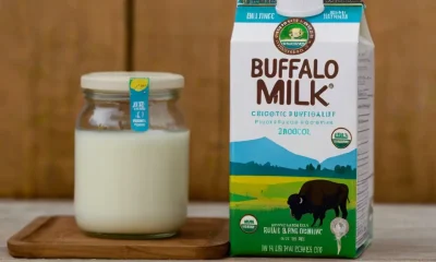 The Health Benefits of Buffalo Milk: An In-depth Guide