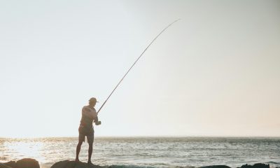 A Beginner's Guide to Fishing and Exploring its Benefits