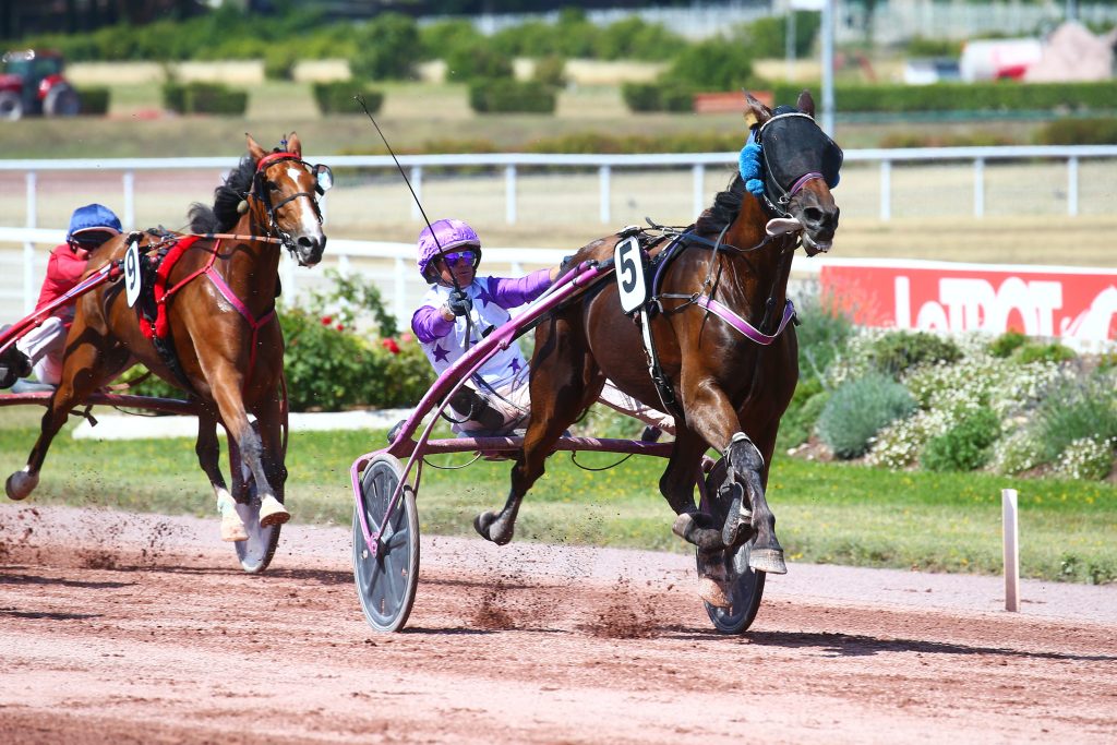 PMUAt Zaazaturf: The Pinnacle of Expert Horse Racing Services