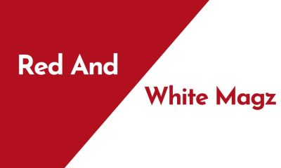Discover the Charm of Red and White: Welcome to RedandWhiteMagz.com