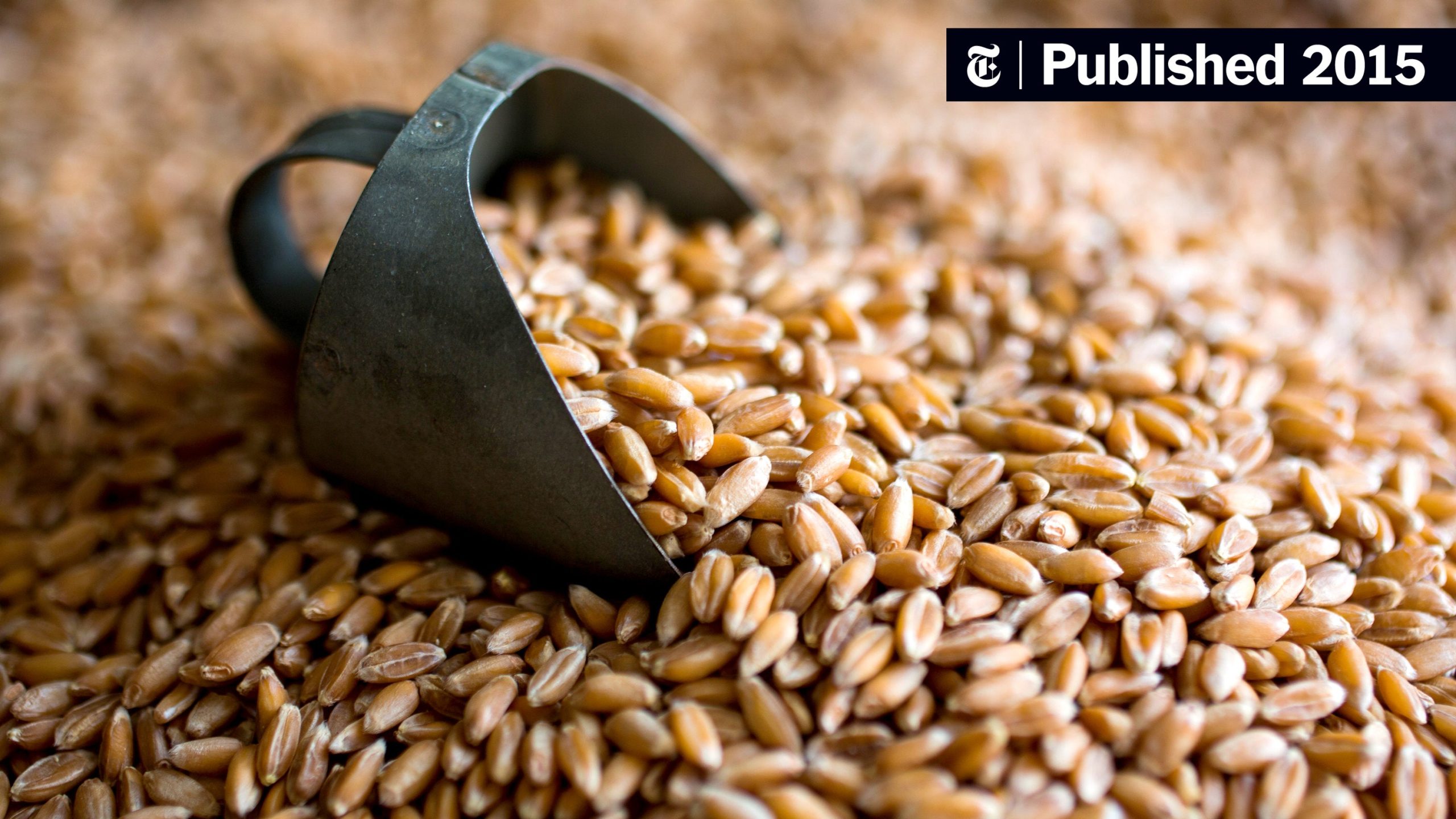 Ancient Grains in a Healthy Cereal: Rediscovering Nutritional Treasures