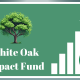 White Oak Impact Fund: A Catalyst for Sustainable Change