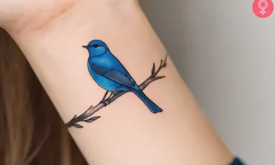 The Meaning and Beauty of Blue Bird Tattoos: A Look at Their Connection to Cardinal Bird Tattoos