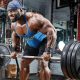 How to Build Muscle: Tips to Increase Muscles - wellhealthorganic.com