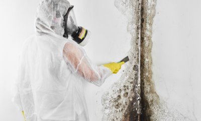 When Should You Hire a Professional for Mold Removal?