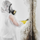 When Should You Hire a Professional for Mold Removal?