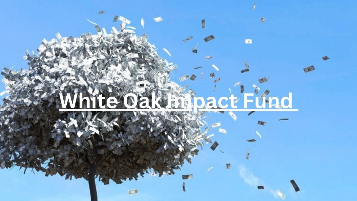 Understanding the White Oak Impact Fund: A Comprehensive Guide