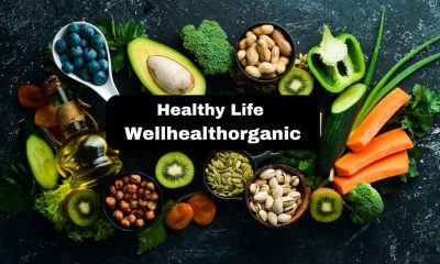Embracing a Healthy Life with WellHealthOrganic