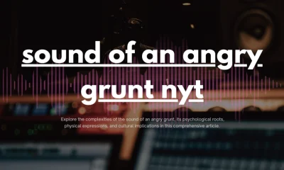 The Sound of an Angry Grunt: A Deep Dive into Human Expression