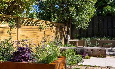 Enhancing Your Outdoor Space: Top Fencing Trends