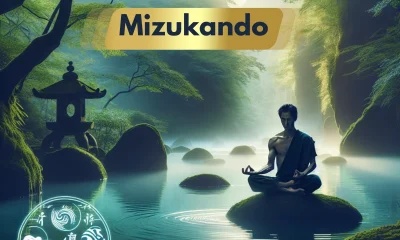 Outline for the Article on "Mizukando"