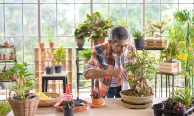 How a Chinese Herbalist in Sydney Can Enhance Your Wellness Journey