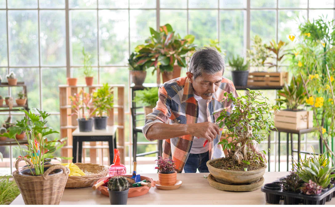 How a Chinese Herbalist in Sydney Can Enhance Your Wellness Journey