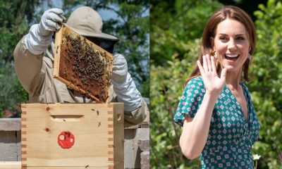 Kate Middleton's Beekeeping Hobby: The Royal Buzz