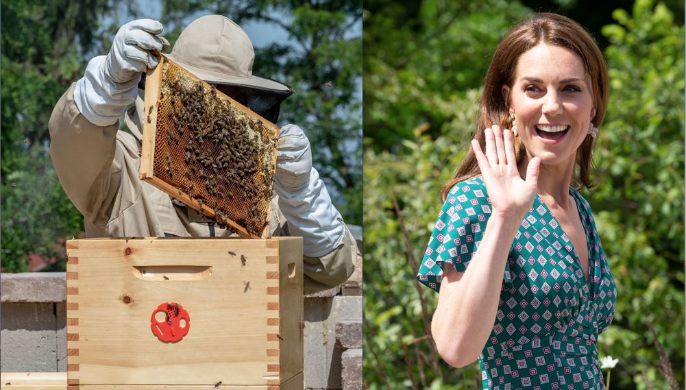 Kate Middleton's Beekeeping Hobby: The Royal Buzz