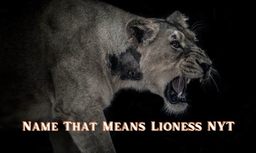 The Name that Means Lioness in English: A Journey Through History, Culture, and Significance