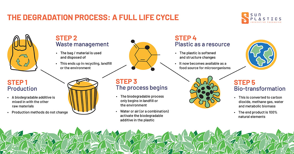 Sustainable Waste Management: The Role of Biodegradability Testing