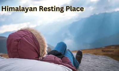 Himalayan Resting Place: A Tranquil Escape to Nature’s Serenity