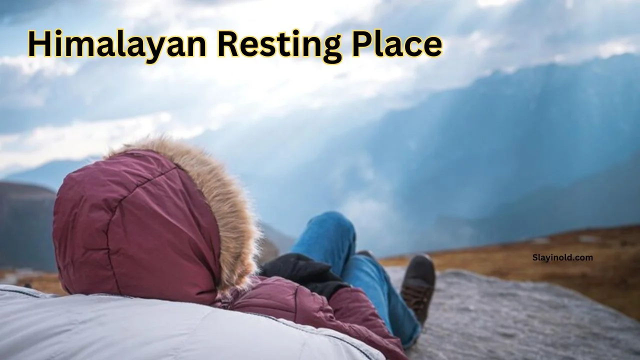 Himalayan Resting Place: A Tranquil Escape to Nature’s Serenity