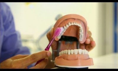 Sustaining Maximum Dental Health: Advice and Ideal Techniques