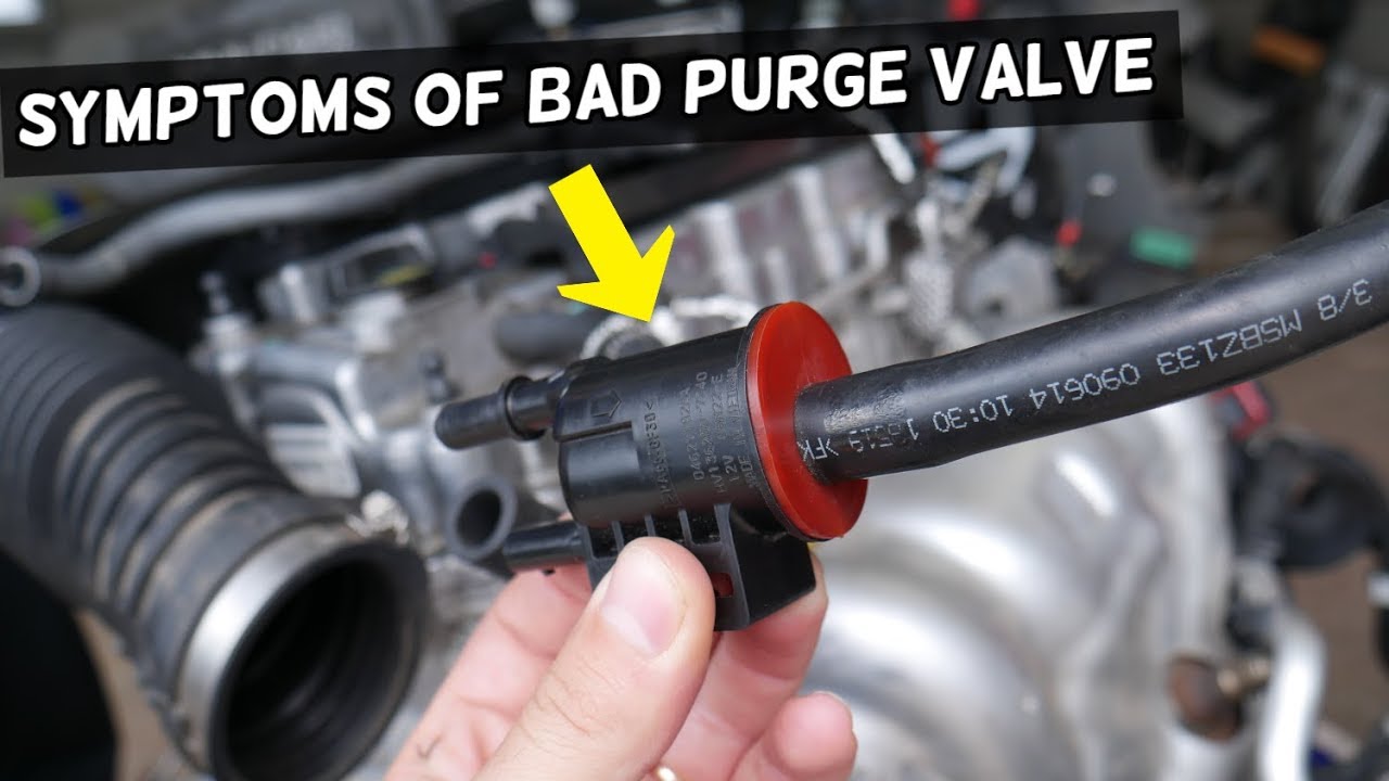 Understanding the Purge Valve: A Key Component in Your Car's Emissions System