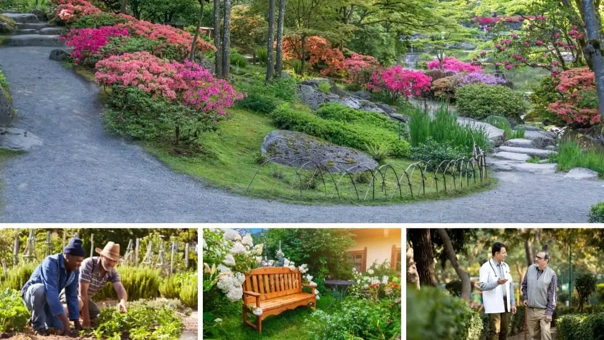 Designing Therapeutic Gardens: Enhancing Healing Environments