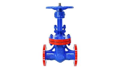 Common Issues with Gate Valves and How to Prevent Them