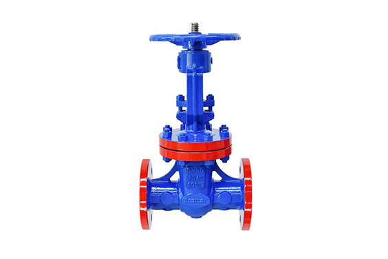 Common Issues with Gate Valves and How to Prevent Them