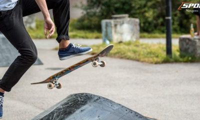 The Adventure of the Skateboard Frog with a 40oz Birdhouse