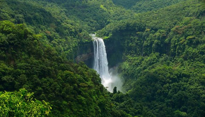 Surla Waterfalls: A Hidden Gem in Nature's Lap