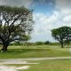 Comprehensive Outline for "ort sam houston golf course"